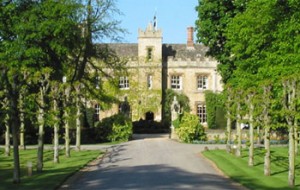 The Manor image